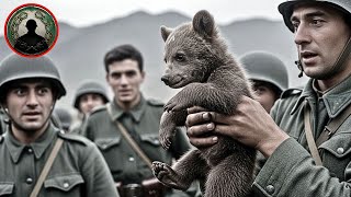 El soldado polaco que adoptó un oso que se convirtió en cabo — La increíble leyenda de Wojtek El soldado polaco que adoptó un oso que se convirtió en cabo — La increíble leyenda de Wojtek