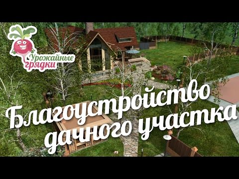 Благоустройство дачного участка #urozhainye_gryadki