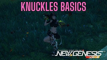 [PSO2 NGS] Class Weapon Basics (Knuckles)