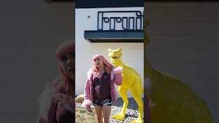 Hot Girls Have Pink Hair