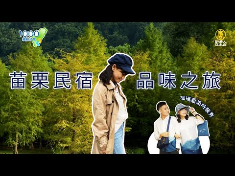 全集【苗栗民宿】落羽松+溫泉+美食度假園區｜英式莊園villa優雅放鬆身心｜藍染文化藝術打造的農村聚落，選一間好好待一天！｜南庄雲水度假森林,八角居所民宿,卓也小屋│Miaoli│ep.331