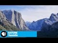 Yosemite National Park Features and Impact