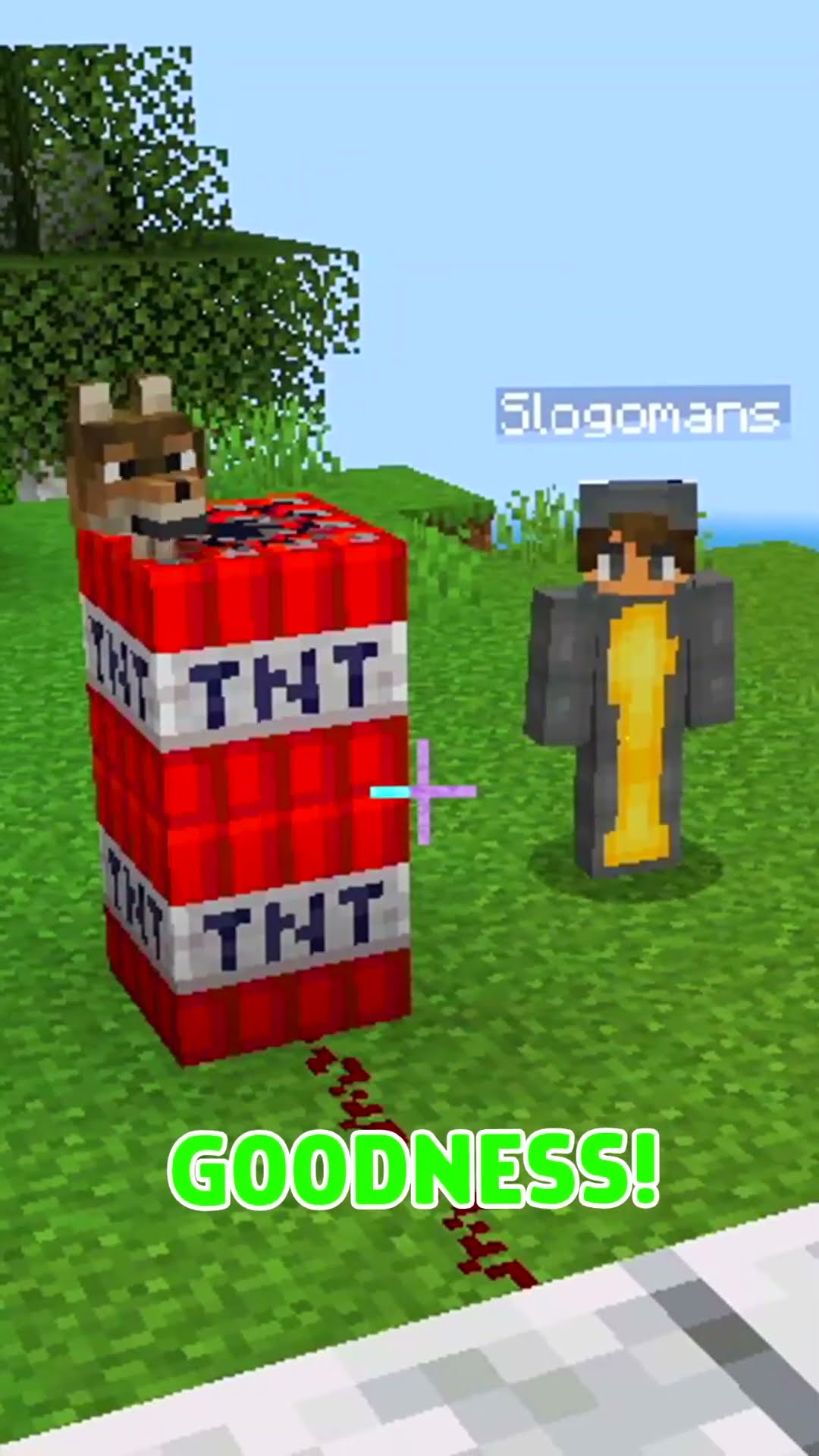 Save The Dog! (Minecraft)