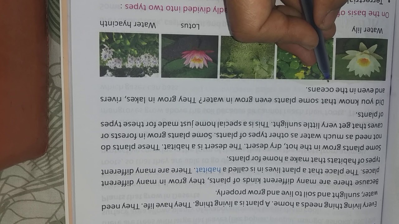 Cl 4th Chapter No 10 Where Do Plants Live You 4th Chapter No 10 Where Do Plants Live