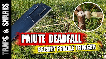 Paiute Deadfall Trap: Unique Pebble Stone Trigger Setup! 🌲🔨 (Survival Skills)
