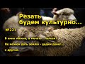 "Резать будем культурно...". "Открытая Политика". Выпуск - 221