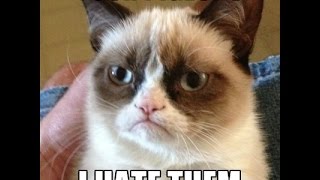Pigeons? PIGEONS?! NOOOOOOOOOOOO I HATE PIGEONS!!