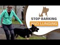 أغنية How to STOP your dog barking/ lunging at visitors & dogs; aggression