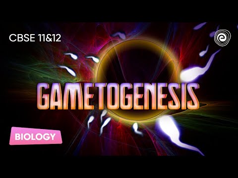 Gametogenesis | Biology | CBSE 11&12 | Embibe: Achieve CBSE 11&12