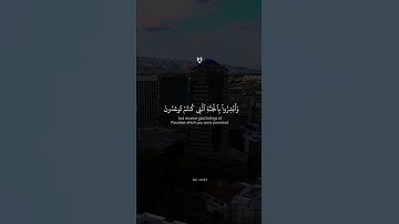نحن أولياؤكم في الحياة الدنيا وفي الاخرة || القارئ اسلام صبحي سورة فصلت تلاوة خاشعة .