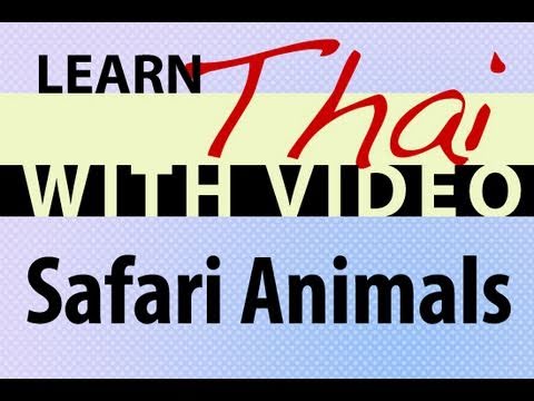 safari ภาษา ไทย  Update New  Learn Thai with Video - Safari Animals