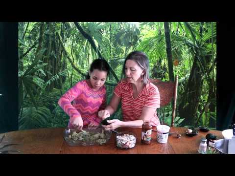 Video: Avokado, ose dardhë aligator