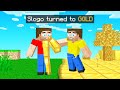 What You TOUCH TURNS TO GOLD In Minecraft!
