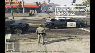 COPS In The LSPDFR Matrix Channel Intro