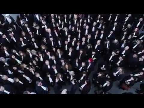 كل عام و المحامون بأفضل حال عيد المحامي نشيد المحامي