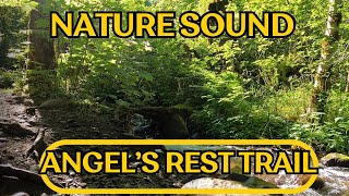 Nature Sound of Angel's Rest hike, Columbia Gorge, Oregon (20 min)