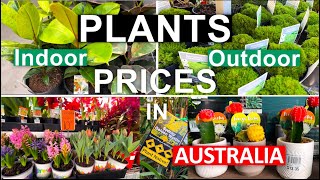 🪴PLANTS PRICES/ NURSERY #australia /ЦЕНЫ НА РАСТЕНИЯ ДЛЯ САДА И ДОМА #австралия /#bunnings #plants
