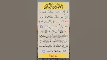 لا إكراه في الدين 🌾 | #سورة_البقرة 🍁 #صلاح_بوخاطر 🌺 #قرآن #quran #طمأنينه 🍃