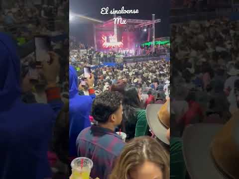 El sinaloense #marcofloresylajerez #bandajerez #zapateando #mix - El sinaloense #marcofloresylajerez #bandajerez #zapateando #mix