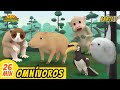 Omnívoros Episodio Compilación [Parte 1/3] (Español) - Leo, El Explorador Episodio | Animación