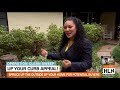 Egypt Sherrod Shows Easy Ways To Increase Your Curb Appeal on &quot;Clean Sweep&quot;