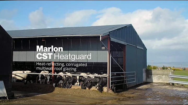 McCollum's Farm Marlon CST Heatguard Testimonial