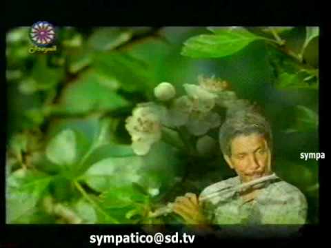 الموسيقار كمال يوسف موسيقى أغنية الزهور والوردي للشفيع