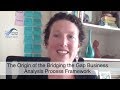 The origin of the bridging the gap business analysis process framework