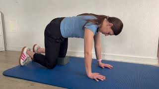 Quadruped Multifidus Lift | Deep Core Exercise for Back Stability | PT Effect Physical Therapy