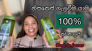 හිසකෙස් ගැලවීම නවතන sulfate free shampoo &amp; conditioner සහ silicon hair scrub tool #thisubeauty #hair