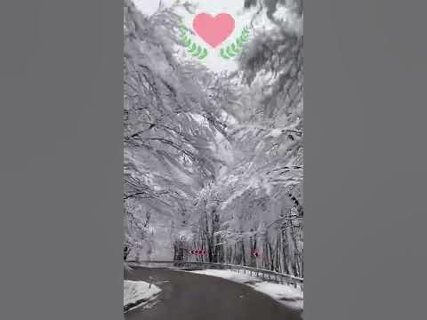 Трогательные стихи о любви до слез - YouTube
