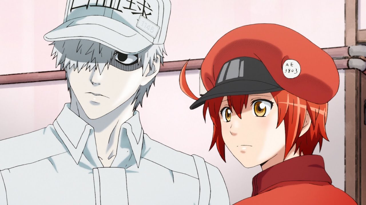 Cells at Work Manga Collection