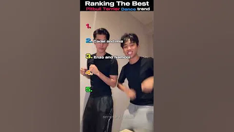Ranking The Best Pitbull terrier dance trend #tiktoktrend #ranking #shorts #nivetadhingramusic