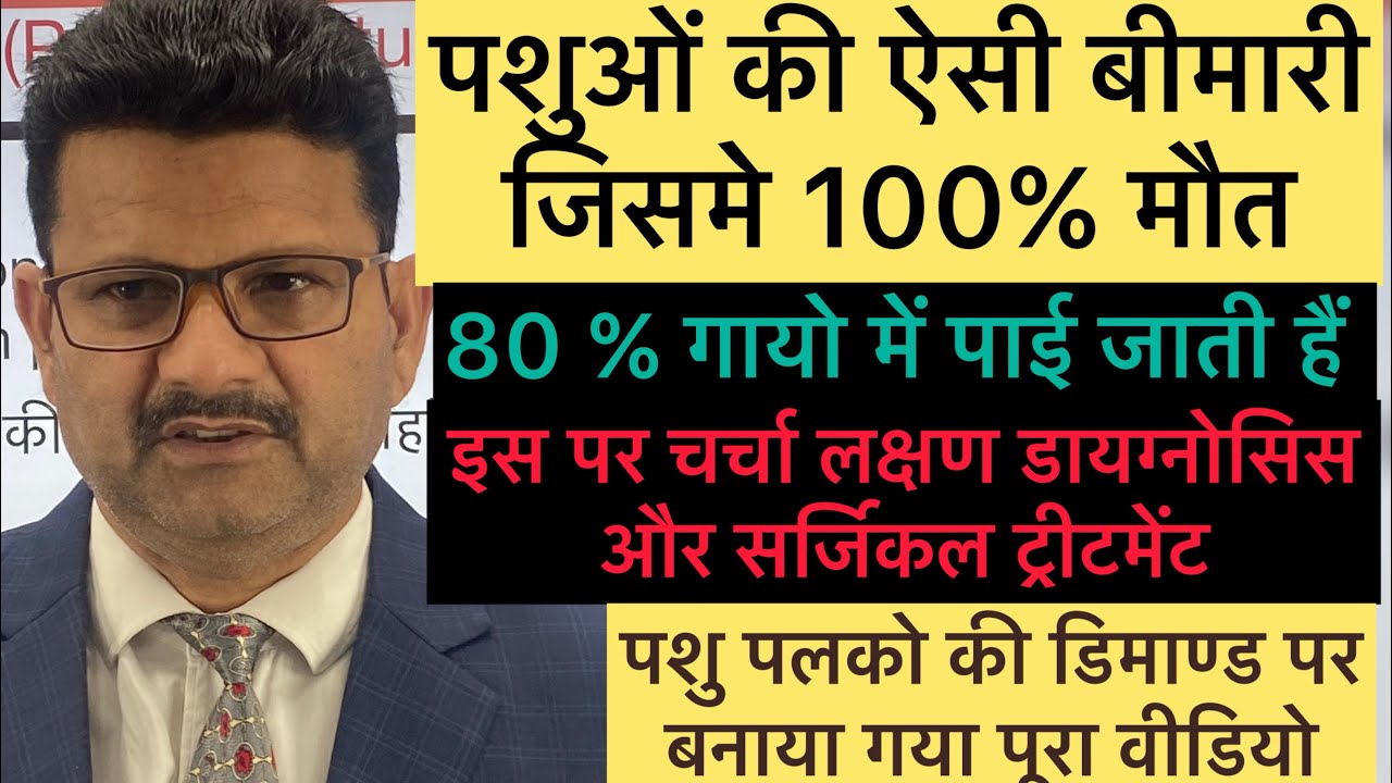 Intussusception in cow l Bloat l Impaction of rumen l dr Umar Khan 