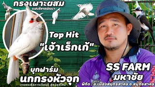 บุกฟาร์ม | นกกรงหัวจุกแฟนซี สายพัฒนา