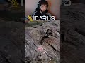Prin padure dupa Lupi🤣 🎮️ 😵💫