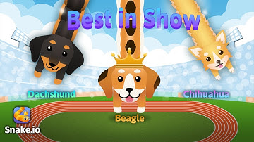 【Snake.io】 Best in Show Live Event Trailer