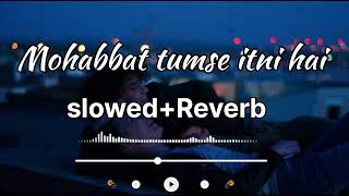 Mohabbat Tumse Itni Hai (Song) ||Pratibha singh & Amjad nadeem ||lofi+slowed+reverb songs ||Wow lofi