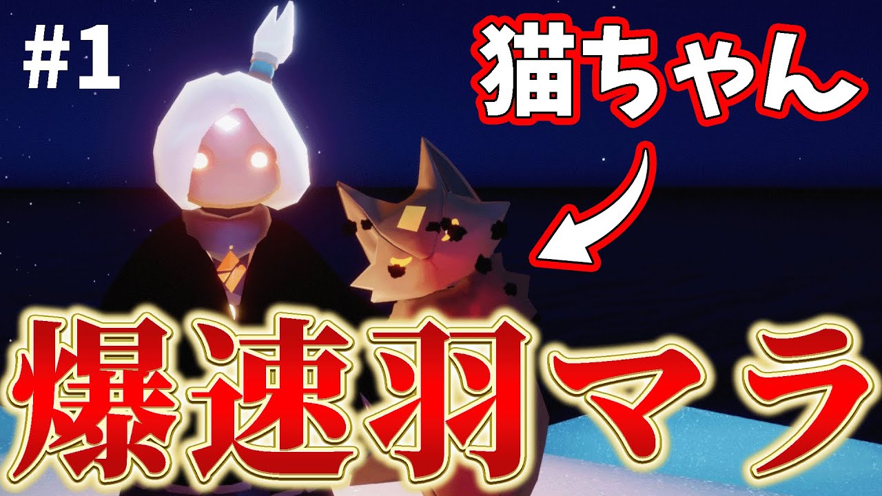 爆速羽マラ #1】猫を使用すると速すぎてカメラが追い付かない【sky星を