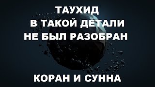 ГЛАВНЫЕ ПРОБЛЕМЫ. ИСЛАМ. ШИРК КАК ПРЕДОТВРАТИТЬ?