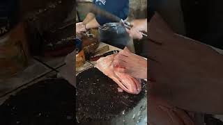 cara membersihkan ikan kepala kakap