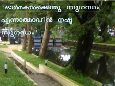 Alappuzha City video