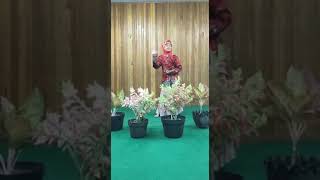 cerita dongeng \
