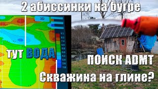 видео: Абиссинка получилась там, где не должна! Абиссинка на бугре. Абиссинка на глине. Поиск воды AMDT. картинка: Абиссинка получилась там, где не должна! Абиссинка на бугре. Абиссинка на глине. Поиск воды AMDT.