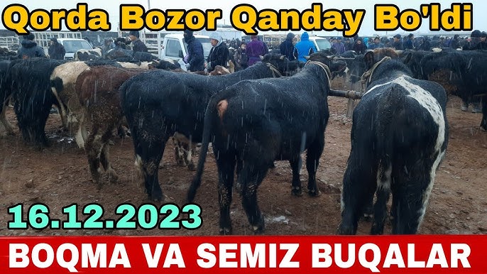 Tovoningiz bilan jinsiy olatni va toplarga qadam bosish