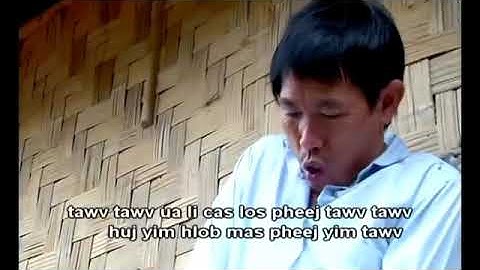 Tawv  tawv koos loos