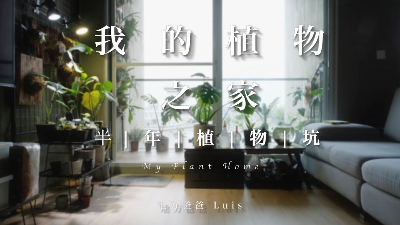 我的植物之家｜My Plant Home｜觀葉植物｜塊根植物｜鹿角蕨｜Indoor Planting