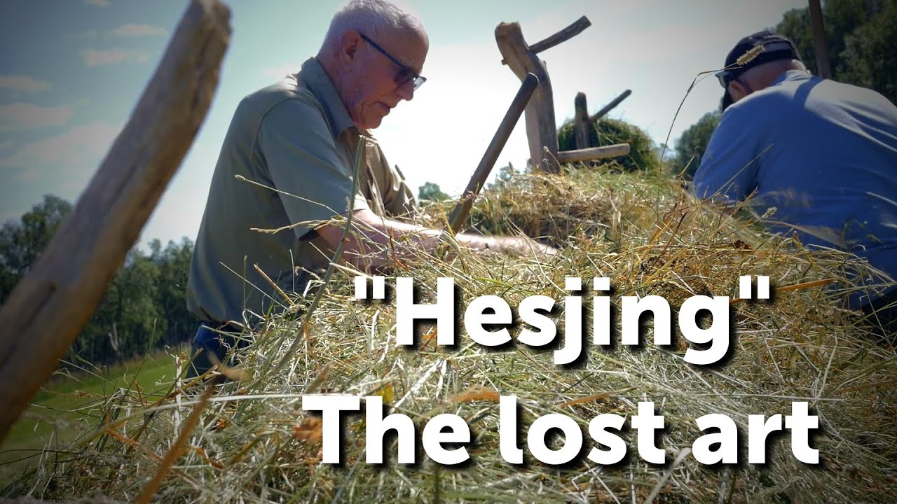 Hesjing og Slått på Utistuvollen - Den Glemte Kunsten