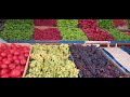 میوه های رنگارنگ و قیمت های آنها در ترکیه