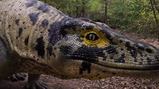 Historic To Prehistoric | Explore Bastrop County